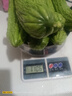 【京東物流】農(nóng)家新鮮苦瓜蔬菜清熱降火農(nóng)家自種現(xiàn)摘現(xiàn)發(fā)生鮮 新鮮苦瓜 2斤 帶箱 曬單實(shí)拍圖