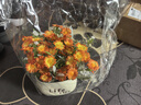 仿真花客廳裝飾擺件向日葵插花小盆栽假花塑料花束餐桌花藝裝飾品 小雛菊橘色花束+Life瓶 曬單實(shí)拍圖