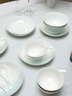 NINE CRANES餐具套裝家用陶瓷景德鎮(zhèn)現(xiàn)代簡約碗盤組合盤子碗情侶家用整套 曬單實拍圖