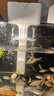 瘋狂水草魚缸過(guò)濾器循環(huán)水泵C2三合一循環(huán)過(guò)濾增氧系統(tǒng)全套 曬單實(shí)拍圖