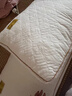 胖東來(lái)大豆纖維枕頭護頸椎助睡眠酒店專(zhuān)用成人枕芯A類(lèi)一對學(xué)生宿舍家用 新款大豆蛋白枕-立體邊低枕(一只 曬單實(shí)拍圖
