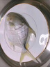 鮮馳新貨金鯧魚(yú)新鮮鏡魚(yú)海魚(yú)鯧魚(yú)金昌魚(yú)湛江海鮮水產(chǎn)鮮活冷凍包郵 200-300g凈重/條 4條裝 曬單實(shí)拍圖