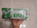 京厽德國品質(zhì)烏龜冬眠干苔蘚爬寵專用苔蘚冬眠的窩青苔智利水苔椰土椰 烏龜冬眠干苔蘚500克動物專用 曬單實拍圖
