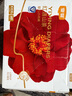 宜嬰弱酸紅山茶花3XL60片+2片拉拉褲小內褲【品牌直供 安心品質(zhì)】 曬單實(shí)拍圖