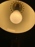 飛利浦（PHILIPS）恒亮型LED燈泡高亮節(jié)能球泡照明光源E14小螺口6.5W黃光3000K真彩版 曬單實拍圖