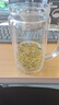 京東京造 茶杯 雙層玻璃茶水分離泡茶咖啡杯子帶把手大容量500ml 曬單實拍圖
