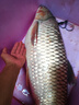 狼王 紡車輪天域漁線輪全金屬線杯漁輪魚線輪海竿輪路亞磯釣輪海桿輪 天域 5000 曬單實(shí)拍圖