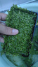 勝畫爬地矮珍珠水草植物魚缸專用造景草坪趴地日本珍珠草制氧陰性水草 【遇水瘋長】爬地矮珍珠5大盒（約8*14CM） 曬單實拍圖