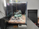 萊易歐 ALEO2025新款側濾水族箱全套客廳超白玻璃三湖缸南美缸溪流缸生態(tài)魚(yú)缸 黑色 80×31×36cm 射燈 尊享版（有缸蓋） 曬單實(shí)拍圖