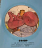 我們的身體(學(xué)前兒童生理啟蒙讀物)羊水袋書兒童科普立體書機(jī)關(guān)書3-6歲幼兒園兒童繪本書籍樂樂趣童書 省錢卡暑假作業(yè) 一升二暑假銜接 小升初暑假銜接 曬單實(shí)拍圖