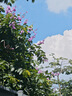 適馬Art 28-105mm F2.8 DG DN F2.8 全畫(huà)幅 恒定光圈 廣角 中長(cháng)焦變焦鏡頭 松下L卡口【特惠送主圖】 官方標配（送主圖配件） 曬單實(shí)拍圖