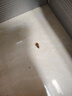 新款滅蟑螂藥家用全窩殺蟲劑廚房端強(qiáng)力滅蟑清殺噴霧劑小強(qiáng)一鍋 500毫升【1瓶】 曬單實(shí)拍圖