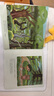 深見(jiàn)春夫“想得美”圖畫(huà)書(shū)系列(平裝5冊) 幼小銜接親子閱讀自主閱讀橋梁書(shū)課外閱讀閱讀課外書(shū)假期書(shū)單   2-6歲小猛犸童書(shū) 曬單實(shí)拍圖
