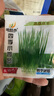 【隨種隨吃】四季小香蔥種子蔥種庭院陽臺盆栽地栽小蔥蔬菜種子 小香蔥種子【1包約300?！?原廠封裝 曬單實拍圖