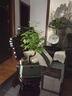 東部工品打包轉(zhuǎn)盤底座承重旋轉(zhuǎn)轉(zhuǎn)盤展示臺(tái)手動(dòng)快遞打包神器轉(zhuǎn)盤臺(tái)40CM 曬單實(shí)拍圖