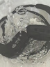 JBLV柏林之聲游泳耳機(jī)防水專業(yè)入耳式藍(lán)牙運動跑步水下專用MP3一體式 黑色 曬單實拍圖