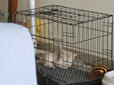 腆寵狗籠貓籠 狗籠子中小型犬帶廁所幼犬狗窩貓籠子大號家用圍欄兔籠 曬單實(shí)拍圖