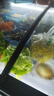 冰諾璽商用展示柜保鮮島柜海鮮展示柜大容量冷柜雪糕飲料點(diǎn)菜柜市玻璃保鮮臥式冰柜商用冷柜大容量冰柜 1.4米升級智控【帶籃框】 曬單實(shí)拍圖