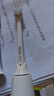 清奢適配Haier海爾電動牙刷頭HTA2-HYB/JYL小摩刷替換刷頭HT21-HYB/SHF/HT11/HTA1/HTV-11/T11牙刷頭 6支 綠色清潔款 曬單實拍圖