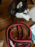 洽苒德國狗狗牽引繩防爆沖中型大型犬八股加粗狗繩項圈防咬金毛寵物用 紅黑一套加長款1.5m M（建議體重38斤以內(nèi)） 曬單實拍圖