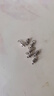 隨燦釣魚八字環(huán)強拉力巨大物高速轉(zhuǎn)環(huán)連接器不銹鋼8字環(huán)錨魚小配件 【3#10枚裝】軸承八字環(huán) 曬單實拍圖