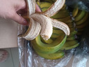 廣西威廉斯香蕉應(yīng)季新鮮水果自然熟軟糯香甜香蕉banana非小米蕉 3斤裝 曬單實(shí)拍圖