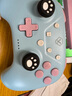 aolion澳加獅洛可可雙影奇境游戲手柄Switch2手柄Pro無線藍(lán)牙NS2爆炒萌廚PC電腦版Steam安卓IOS手機(jī)手柄 薄荷漾+接收器 曬單實(shí)拍圖
