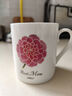 福果茶敘溫感變色陶瓷馬克杯創(chuàng  )意女士母親節康乃馨生日禮物送媽媽咖啡杯 康乃馨系列 曬單實(shí)拍圖