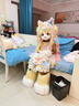 獸頭成品 獸裝全套現(xiàn)貨兒童7到12歲女生福瑞furry漫展可愛無飾品 獸腳白色一雙 下單備注鞋碼 曬單實拍圖