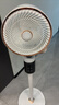 志高（CHIGO）【國家補貼】空氣循環(huán)扇電風扇家用落地冰島智能語音遙控3D自動搖頭負離子凈化節(jié)能輕音大風力臺地 曬單實拍圖