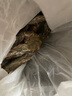 生冷凍南美白對(duì)蝦 2kg 2kg(凈重) 曬單實(shí)拍圖