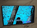 海信電視75E5N Pro+ 75英寸 DeepSeek AI電視 704分區(qū)Mini LED 高刷E5ND-PRO 以舊換新家電國家補(bǔ)貼20% 75英寸 75E5N PRO升級款 曬單實(shí)拍圖
