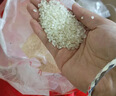 四季雙能糧食儲存防蟲(chóng)藥家用玉米小麥稻谷倉庫存糧防蛀蟲(chóng)藥驅糧蟲(chóng)專(zhuān)用克星 一包20袋【家用】 曬單實(shí)拍圖