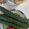 聽蔬有機(jī)生姜1斤/半斤 老姜黃姜月子食療 榨汁調(diào)味食材匯無農(nóng)殘激素 生姜 500g 曬單實(shí)拍圖