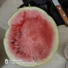 脆甜多汁麒麟西瓜 5-7斤 1枚裝 曬單實(shí)拍圖