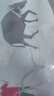 屋妙羽卡爾蜜拉奧特曼玩具手辦特利迦女反派格麗喬關(guān)節六一兒童節日禮物 [特利迦關(guān)節可換手掌]手辦 曬單實(shí)拍圖