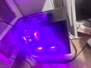 華碩迷你臺式電腦 intel酷睿i5/RTX5060/Ti 設計剪輯三角洲直播游戲電競臺式組裝電腦主機 DIY組裝機 四：i5 14400F+華碩RTX5060+32G mini主機 WiFi6/藍牙 曬單實拍圖