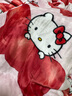 野獸派家居（tbh）Hello Kitty法蘭絨蓋毯雙面絨感沙發(fā)空調(diào)毯午睡毯空調(diào)毯親膚絨毯 曬單實(shí)拍圖