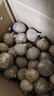 2025云南紫皮獨(dú)蒜 新鮮獨(dú)頭大蒜 新蒜 獨(dú)蒜頭 大果精品大理干蒜 3.5-4cm2斤【凈重】大果 曬單實(shí)拍圖