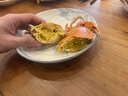 鄭炳才黃油蟹有機(jī)頭手黃油蟹青蟹鮮活海鮮南沙青蟹頭手黃油禮盒裝 4兩1只頭手黃油蟹 曬單實(shí)拍圖