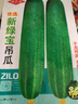 湘斌花青大吊瓜種子春夏季大青瓜耐熱旱黃瓜種籽菜園盆栽四季蔬菜種孑 新綠寶大吊瓜種子5克原裝x2包 曬單實(shí)拍圖