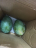 京鮮生 攀枝花凱特芒 凈重8.5斤 帶箱9斤 單果600g+ 生鮮水果 源頭直發(fā) 曬單實(shí)拍圖