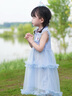 迪士尼冰雪艾莎公主裙女童連衣裙2025夏季新款兒童蛋糕蓬蓬裙禮服裙子 藍色 110 曬單實拍圖