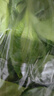 聽蔬上海青小油菜3斤起發(fā) 寶寶孕媽食材 有機(jī)認(rèn)證新鮮采摘火鍋蔬菜 500g 曬單實(shí)拍圖