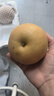 久雅優(yōu)鮮山東冰糖梨脆甜當(dāng)季新鮮秋月豐水梨水果中秋送禮整箱現(xiàn)摘現(xiàn)發(fā) 凈重4.5斤 【單果約250g+】 曬單實(shí)拍圖