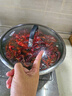 湖北潛江自產(chǎn)自銷清水稻田鮮活小龍蝦5斤裝大蝦超大（干凈免刷） 10錢大炮頭五斤（一斤大概9-10） 曬單實拍圖