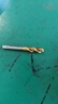 滬豪（HUHAO）鍍汰機用絲錐不銹鋼專(zhuān)用攻絲鉆頭螺旋先端直槽絲攻m3m4m6m8 曬單實(shí)拍圖