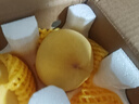 京覓黃桃水果蒙陰桃子新鮮黃金蜜桃 凈重4.5斤 單果130g起 源頭直發(fā) 曬單實(shí)拍圖