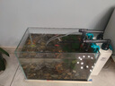 寵小帥適用小米魚缸擺件水族箱造景原生態(tài)南美風(fēng)布景溪流石金魚缸裝飾品 【南美青龍石】造景套餐 曬單實(shí)拍圖
