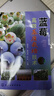 藍莓高效基質(zhì)栽培技術(shù) 曬單實拍圖